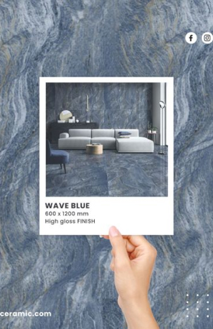 Новинки от Coliseum